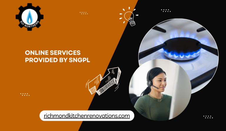 Online Services Provided by SNGPL